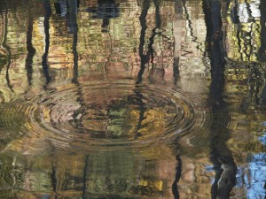 5264996529_ea04afe959_z